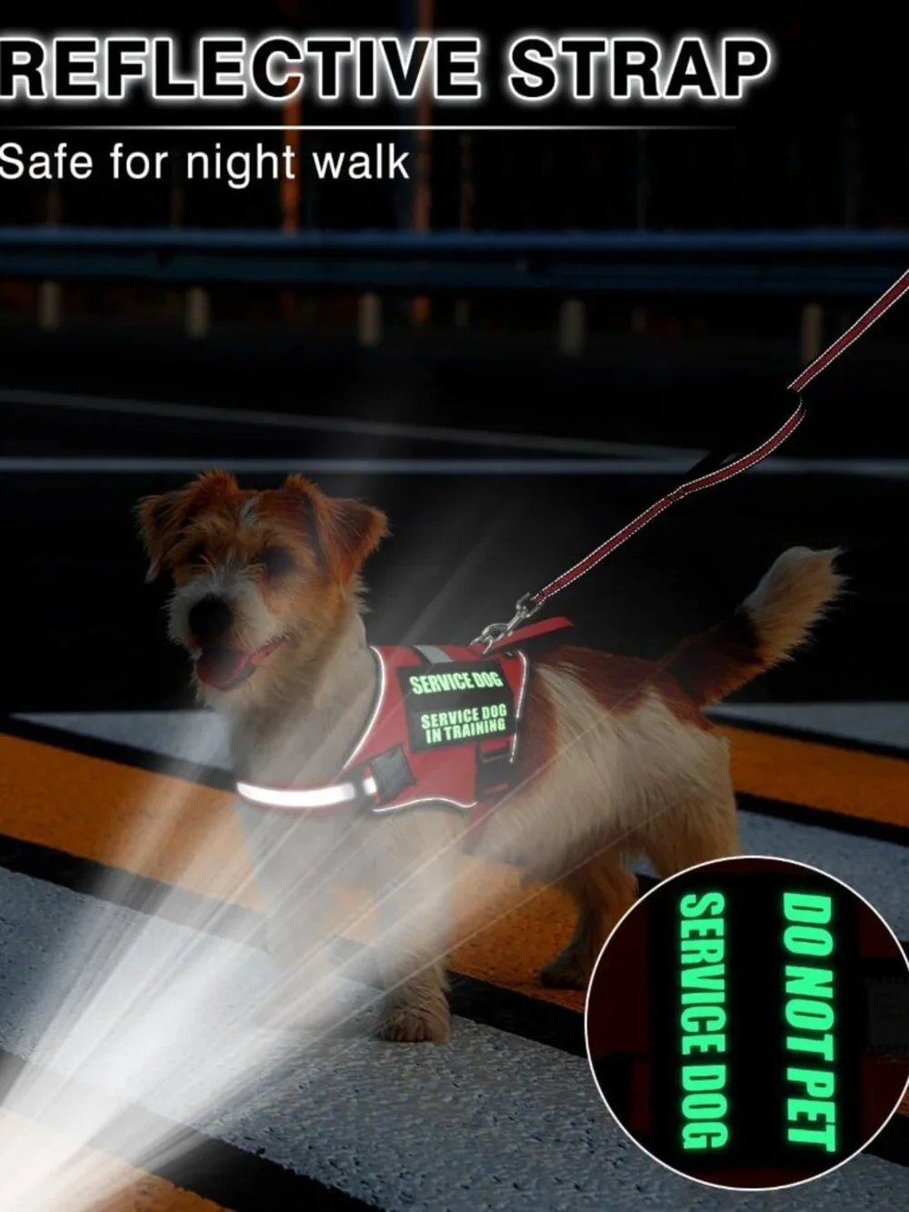 Adjustable Reflective Service Dog Vest Harness & Leash Set + 10 Patches, XS